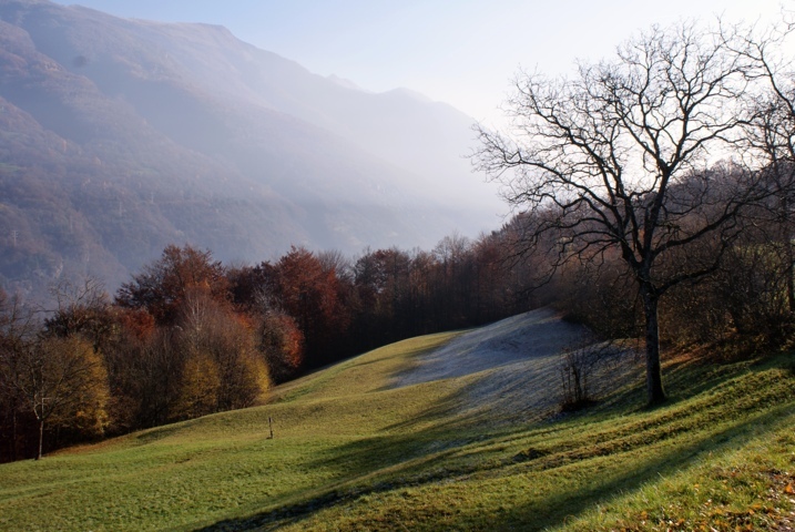Boschi Parlasco